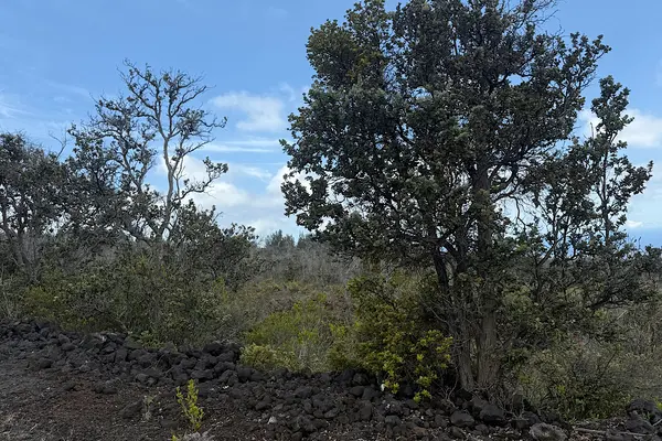 Ocean View, HI 96737,KAILUA BLVD #Lot 2