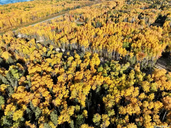 Paddockwood Rm No. 520, SK S0J 3E0,21 Valley Ridge ROAD