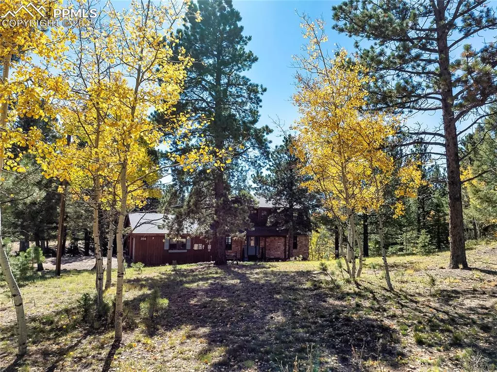 Divide, CO 80814,356 Spring Valley DR