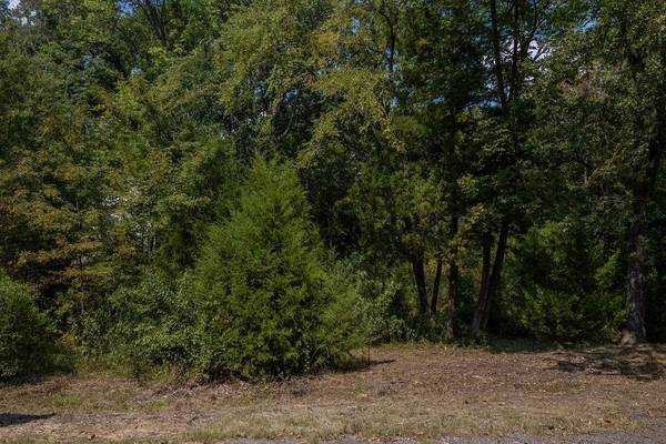 Mabank, TX 75156,6134 Tejas Drive