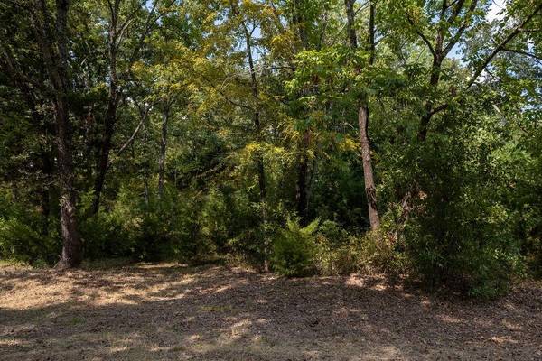 Mabank, TX 75156,6132 Tejas Drive