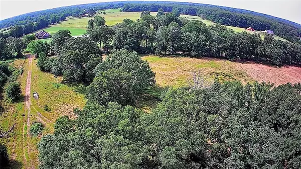 Blossom, TX 75416,1963 County Road 44750