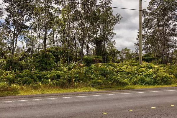 Volcano, HI 96785,VOLCANO RD