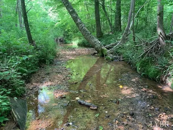 0 Little Bear Lane, Spout Spring, VA 24593