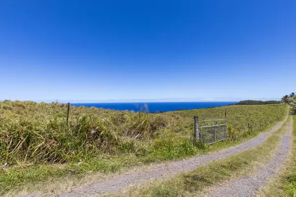 Laupahoehoe, HI 96764,36-239 MANOWAIOPAE HOMESTEAD RD