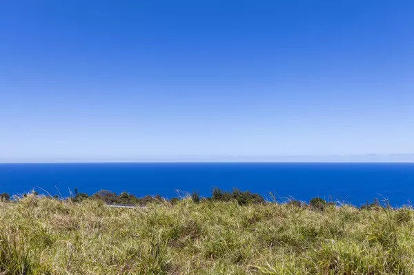 Laupahoehoe, HI 96764,36-239 MANOWAIOPAE HOMESTEAD RD