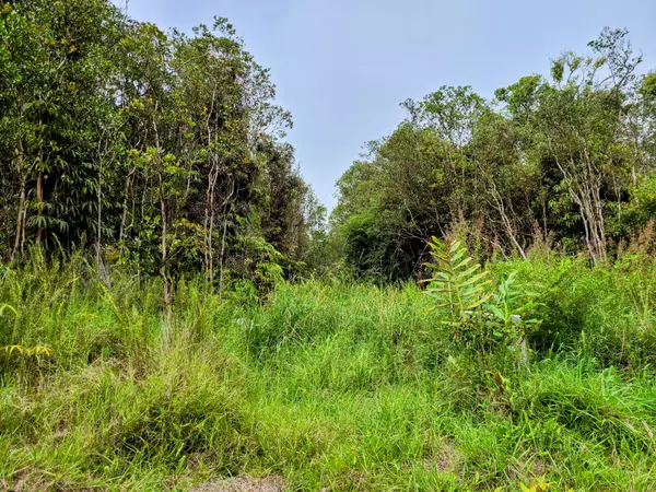 Volcano, HI 96785,ROAD 7