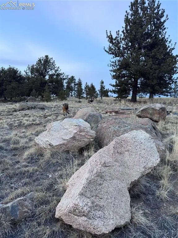 Hartsel, CO 80449,387 Jasper WAY