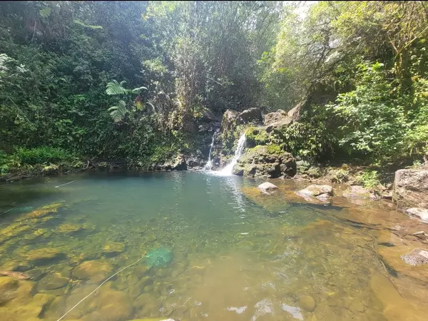 Papaaloa, HI 96780,32-2471 STONE ROAD