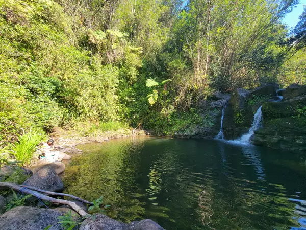 Papaaloa, HI 96780,32-2471 STONE ROAD