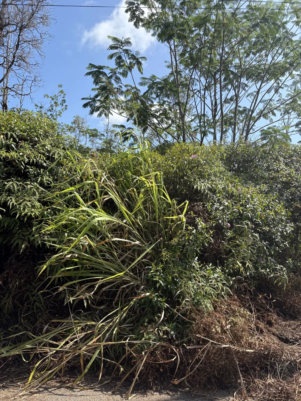 Kurtistown, HI 96760,ALOHA DR