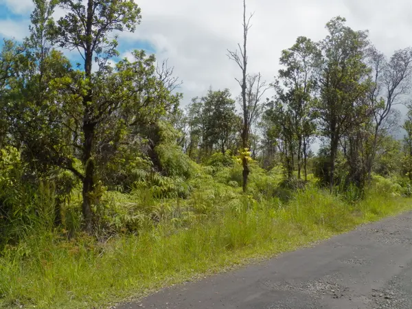 Mountain View, HI 96771,NAIA ST