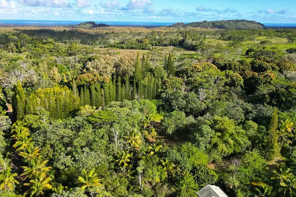 Pahoa, HI 96778,PAPAYA FARMS RD