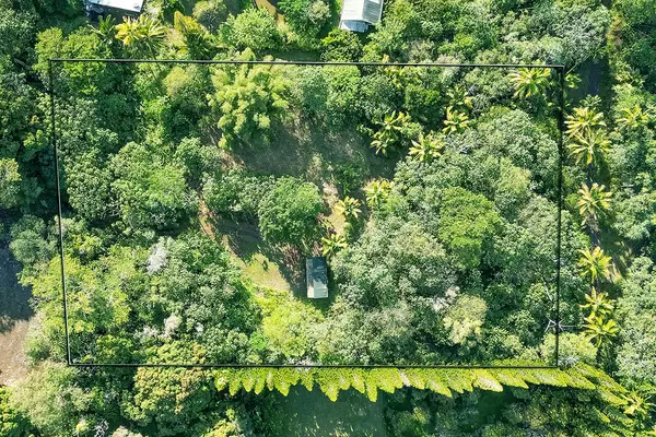 Pahoa, HI 96778,PAPAYA FARMS RD