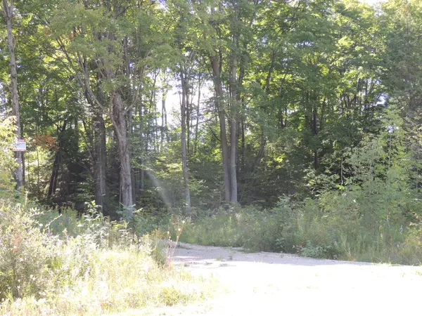 West Grey, ON N0C 1H0,LT 35 HIGHLAND DR