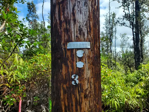 Mountain View, HI 96771,ROAD 7 (OPEAPEA)