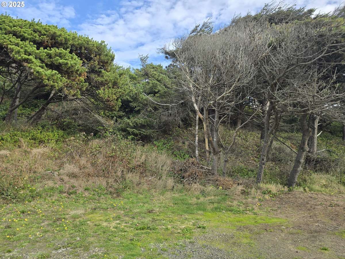0 Lookout ST #2, Florence, OR 97439