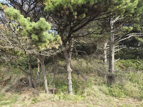 0 Lookout ST #2, Florence, OR 97439