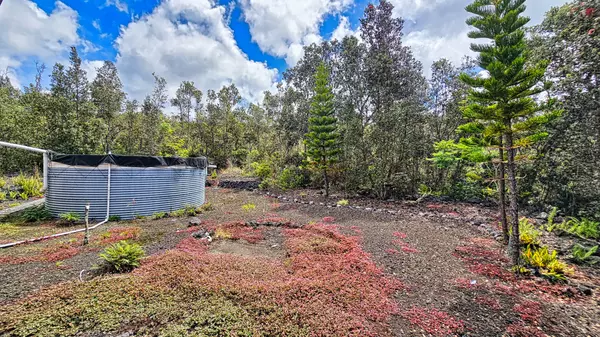 Ocean View, HI 96737,92-9114 LOTUS BLOSSOM LN