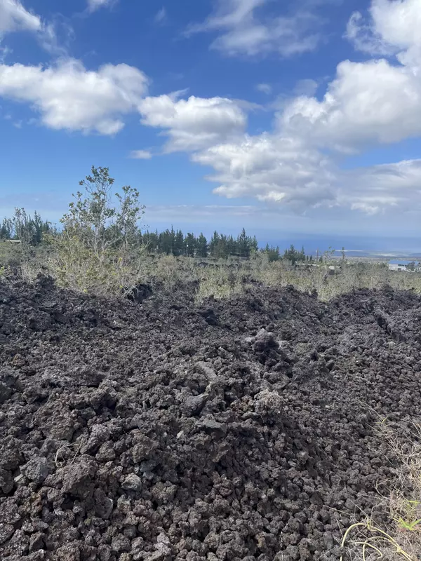 Ocean View, HI 96737,COCOANUT DR