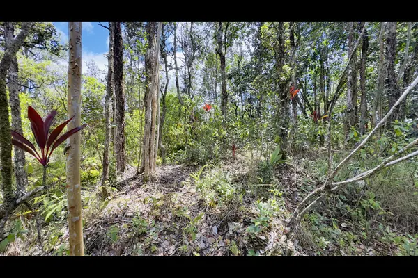 16-1594 40TH AVE, Kurtistown, HI 96760