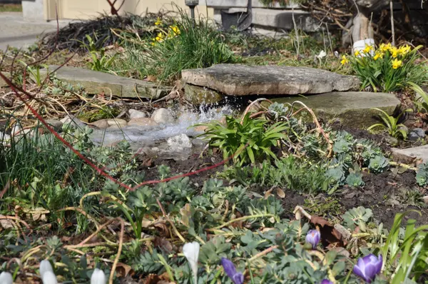 St. Catharines, ON L2N 4X7,172 Dalhousie AVE E