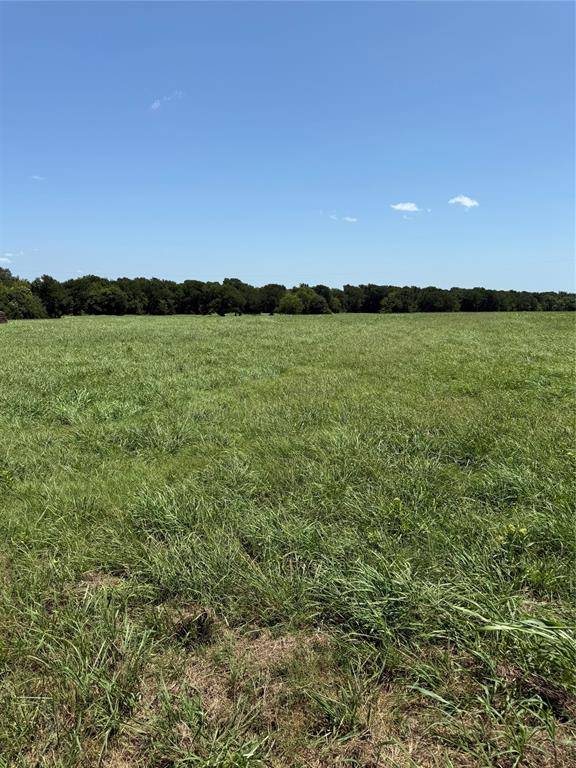 Wills Point, TX 75169,19774 FM 47