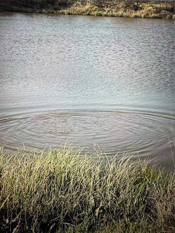 Wills Point, TX 75169,19774 FM 47