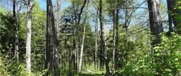 118 Nippissing Ridge RD, Tiny, ON L9M 0H6