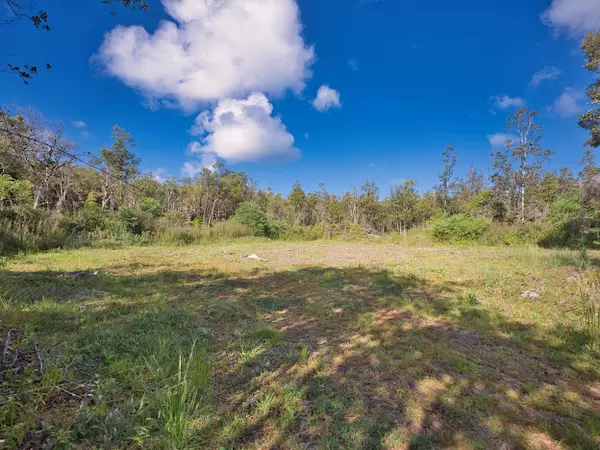 Mountain View, HI 96760,ROAD 2 (AO)