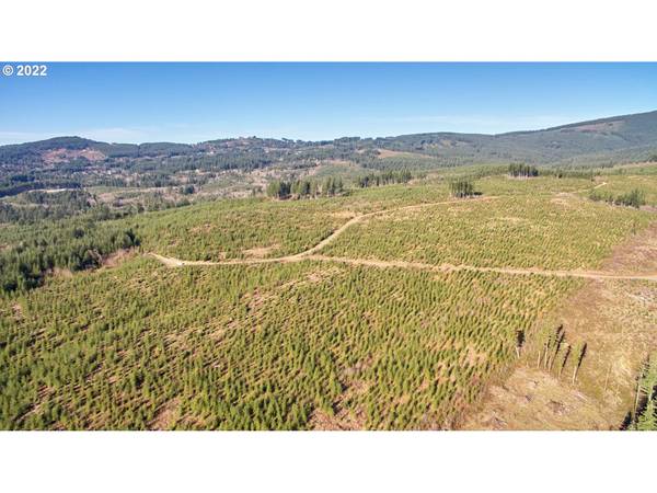 4 NE Jones RD, Camas, WA 98607