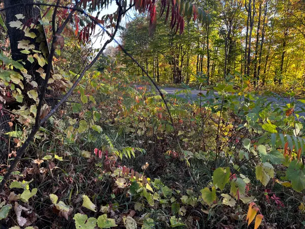 Mcnab/braeside, ON K0A 3L0,lot 0 Bellamy RD