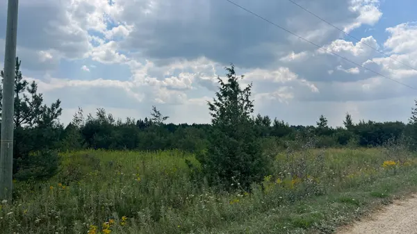 Melancthon, ON L9V 2M7,LT11-17 260 Side Road