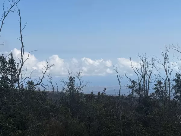 Ocean View, HI 96737,92-9132 TIKI LN