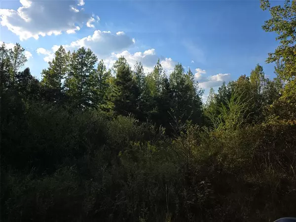 Hughes Springs, TX 75656,TBD CR 2864