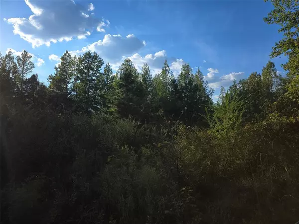 Hughes Springs, TX 75656,TBD CR 2864