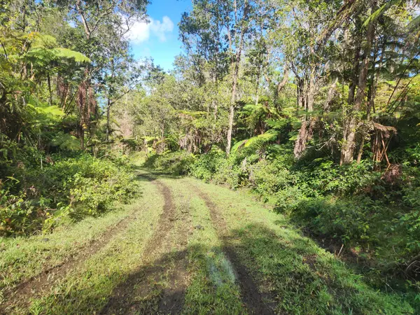 ABOVE MAMALAHOA, Captain Cook, HI 96704