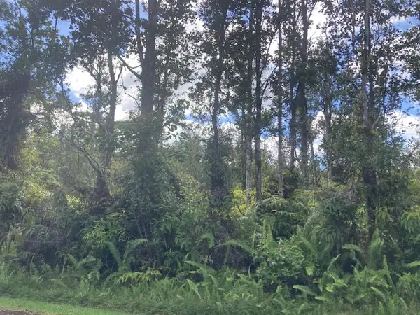 ALAPAI ST, Pahoa, HI 96778