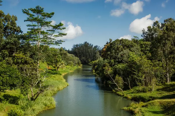 Kilauea, HI 96754,KUHIO HWY #7