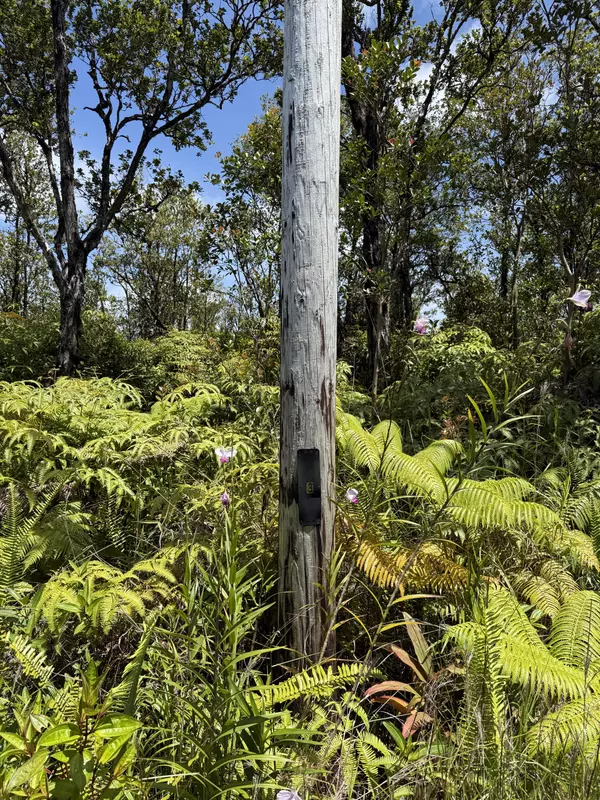 Mountain View, HI 96771,WAILELE ST