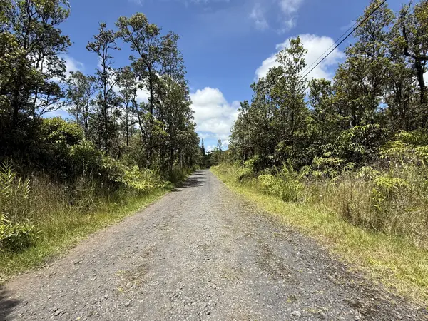 Mountain View, HI 96771,WAILELE ST