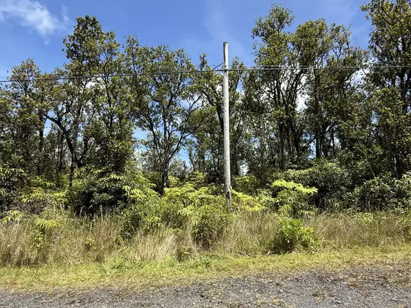 Mountain View, HI 96771,WAILELE ST