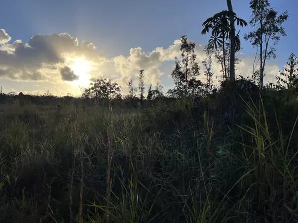 Mountain View, HI 96760,16-1272 KOLOA MAOLI RD