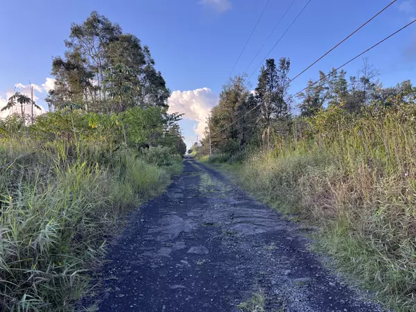 Mountain View, HI 96760,16-1272 KOLOA MAOLI RD