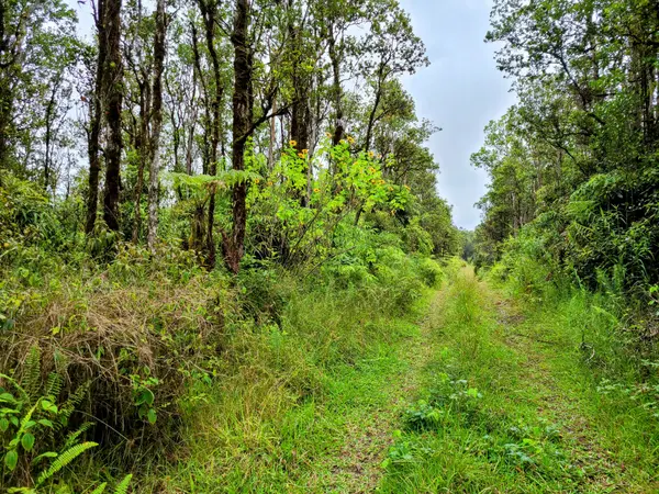Volcano, HI 96785,ALA NAULANI RD