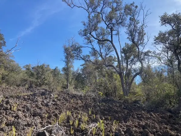 Ocean View, HI 96737,PARADISE PKWY