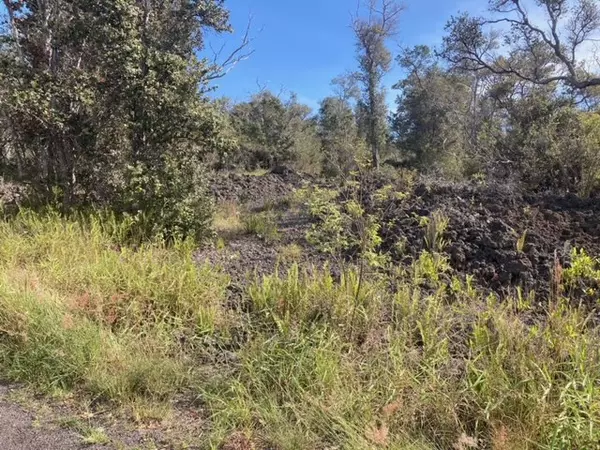 Ocean View, HI 96737,PARADISE PKWY