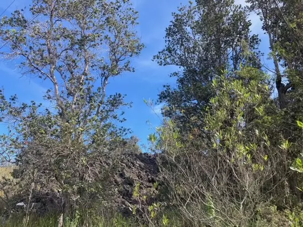 Ocean View, HI 96737,KING KAMEHAMEHA BLVD