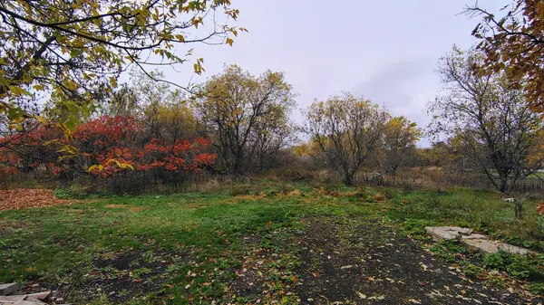 2772 8th Line RD, Greely - Metcalfe - Osgoode - Vernon And Area, ON K0A 2P0