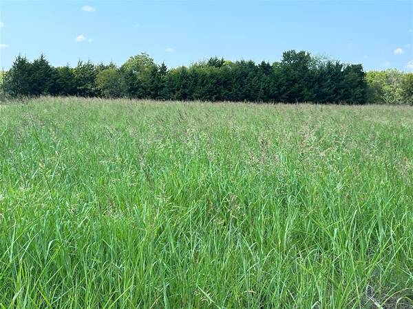 1121 County Road 3715,  Gober,  TX 75443